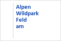 Alpen Wildpark - Feld am See - Kärnten