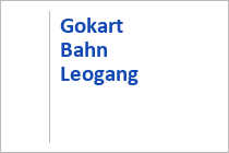 Gokart Bahn - Leogang - Saalfelden-Leogang - Salzburger Land