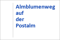 Almblumenweg auf der Postalm - Strobl - Region Wolfgangsee - Salzburger Land