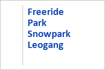 Freeride Park Snowpark Leogang - Leogang - Skicirkus - Salzburger Land