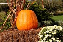 Bauernherbstfest in Bad Hofgastein (Symbolbild). • © pixabay.com (218134)