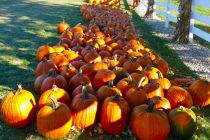 Herbstfest in St. Martin bei Lofer (Symbolbild). • © pixabay.com (993292)