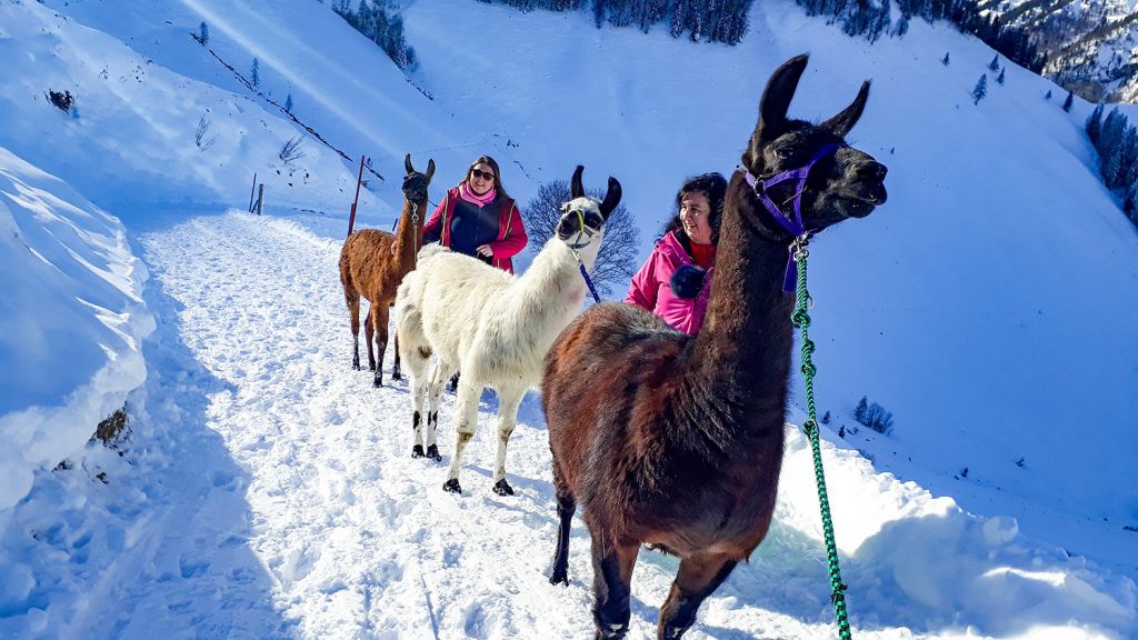 Weite Wege - Im Fieberbrunn im Pillerseetal gibt es genügend Auswahl an (Winter-) Wanderwegen. - © Barbara Steinacher