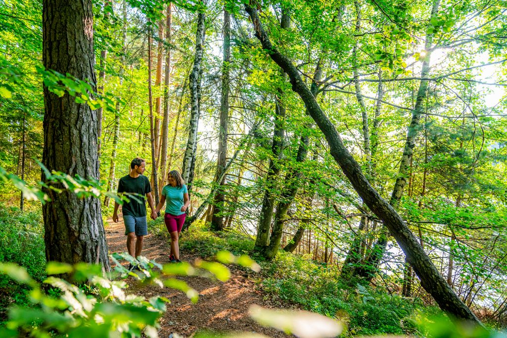 Wald und Wege - Du kannst in Velden beim Schiffsanleger loslaufen. Der eigentliche Startpunkt ist die Franzosenkirche, an der Du vorbeikommst.  - © Wörthersee Tourismus, Gert Perauer