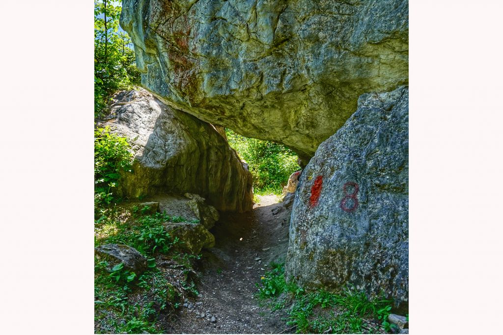 Tonnenschwer - Auf dem Weg gibt es allerhand spannendes zu entdecken. :-) - © <a href="https://www.youtube.com/channel/UC5pqasBMLPXqLamHHb1Nz_Q/videos" target="_blank">Magdolna Sajti-Faragó</a>