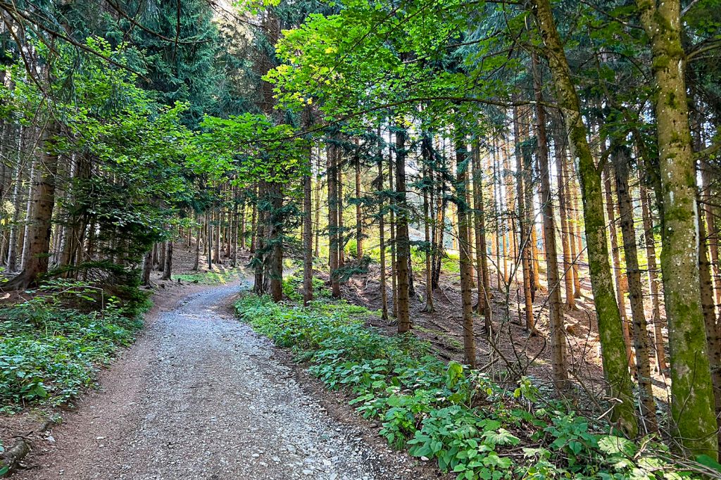 Unter- oder lieber oberirdisch? - Die Führungen bringen Dich in unterirdische Räume, Gänge und Tunnel. Falls Du Dich mit Enge unter "unter Tage" nicht wohlfühlst, kannst Du oben bleiben - dort gibt es ebenfalls viel Spannendes zu entdecken.  - © Annett Ehrenreich