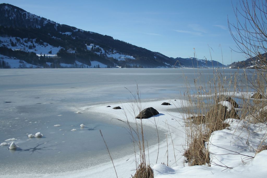 Winterland - Auch im Winter ist der Große Alpsee herrlich anzuschauen. - © Alpsee Immenstadt Tourismus