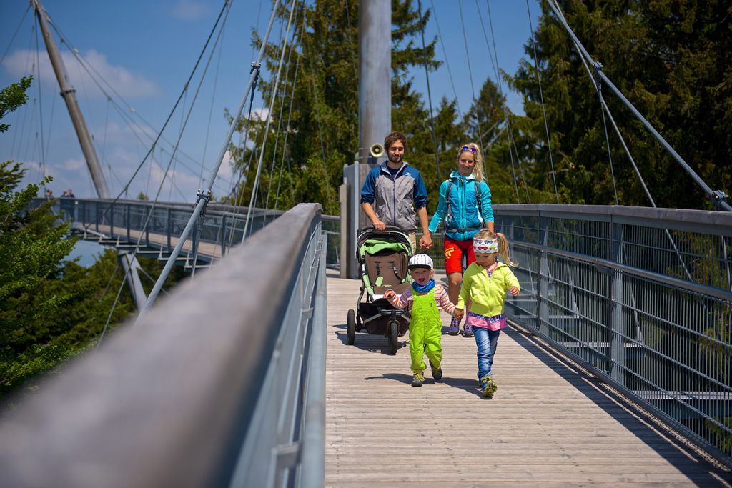 skywalk allgäu - Im Park findest Du auch einen Streichelzoo und Geschicklichkeitsparcours. - © skywalk allgäu gemeinnützige GmbH 