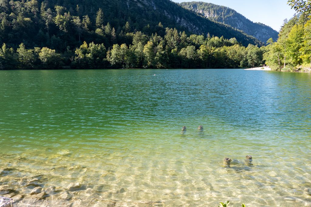 Der Thumsee in Bad Reichenhall - Prachtvolle Natur im Hintergrund. - © alpintreff.de - Christian Schön