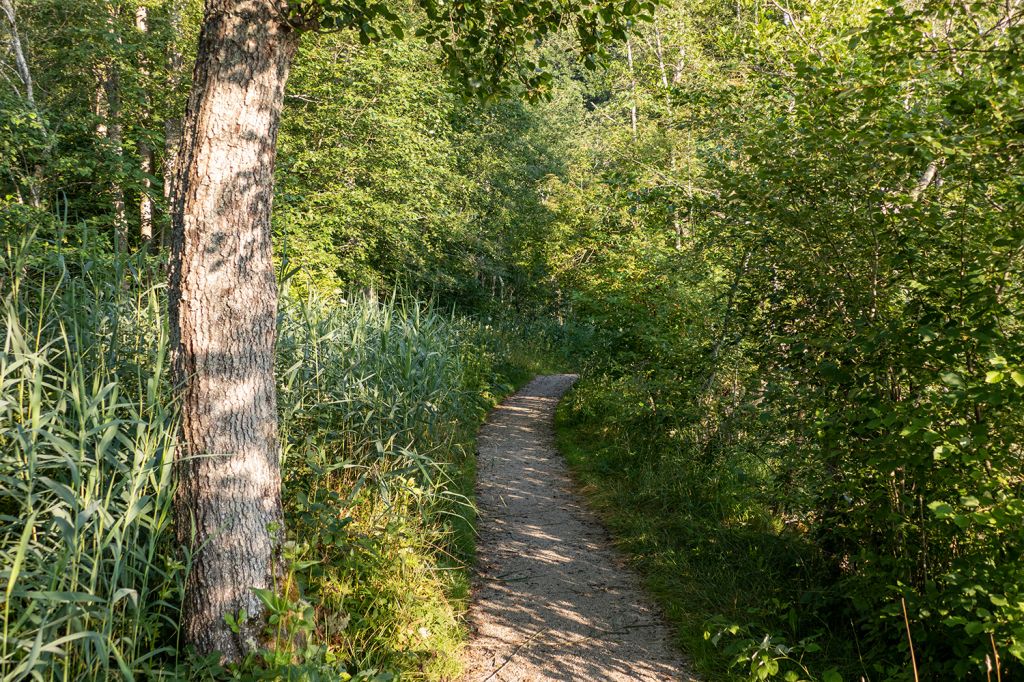 Barmseerunde - Weiter geht es auf schmalem Weg - © alpintreff.de / christian Schön