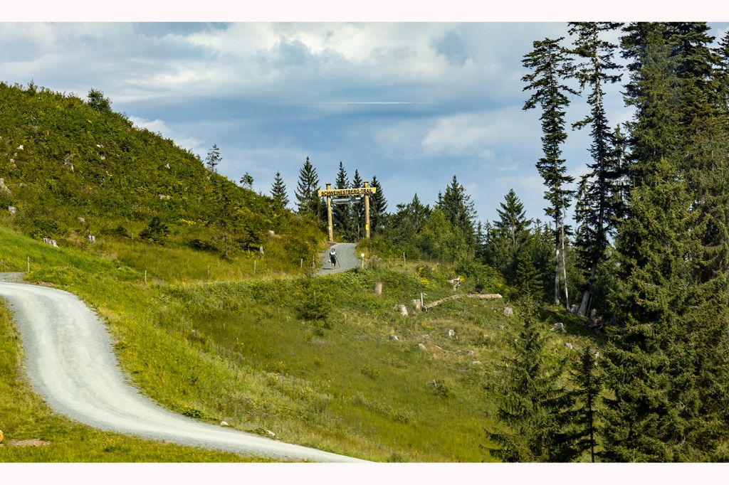 Einstieg - Und hier ist der Start des Schweinestberg-Trails. Der Trail ist für Anfänger und Fortgeschrittene geeignet. - © alpintreff.de - Silke Schön Einstieg - Und hier ist der Start des Schweinestberg-Trails. Der Trail ist für Anfänger und Fortgeschrittene geeignet. - © alpintreff.de - Silke Schön