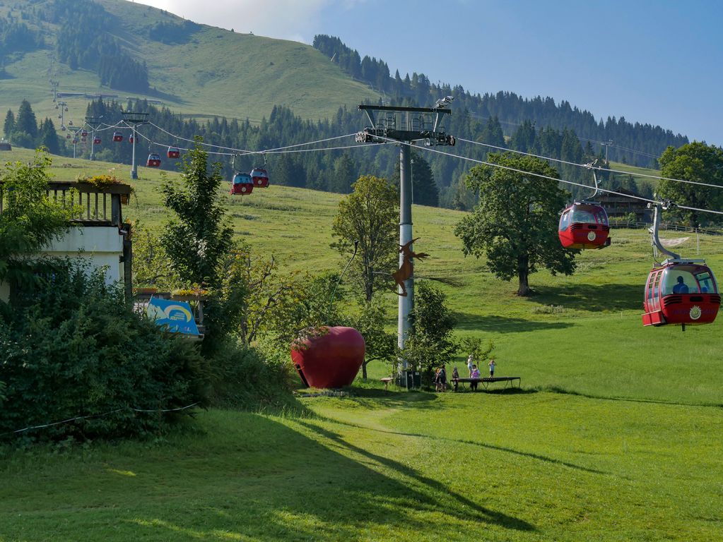 Trasse gondelbahn Hohe Salve - Die Trasse führt im Wesentlichen über die Pisten des Skigebiets. - © alpintreff.de / christian schön