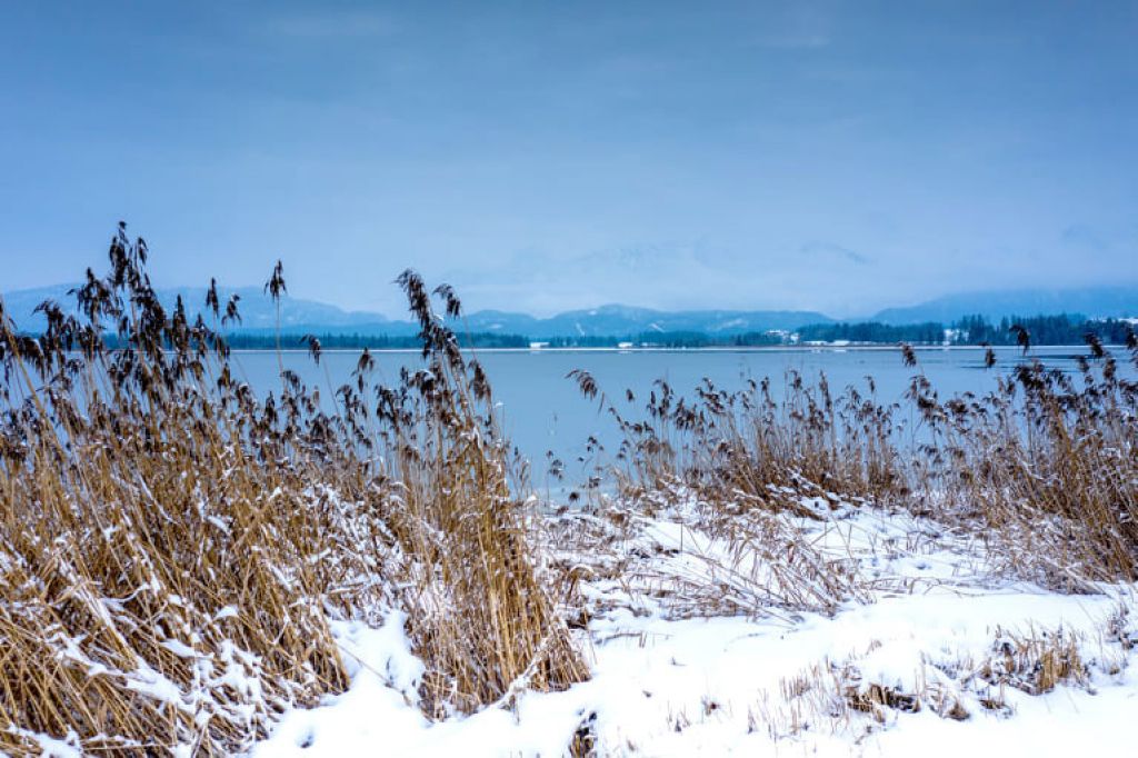 Hopfensee - Der Hopfensee im Winter. - © <a href="https://www.loc-hoang-photography.de/" target="_blank">Loc Hoang</a>