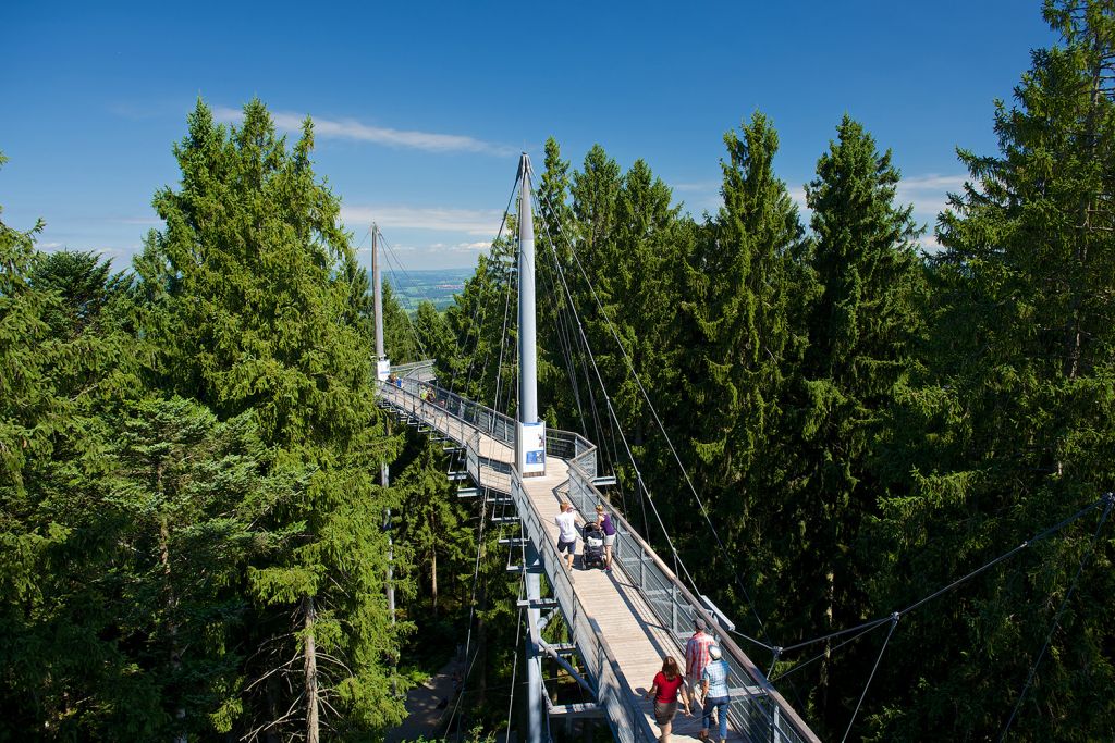 skywalk allgäu - Ein wunderbarer Eindruck von oben. - © skywalk allgäu gemeinnützige GmbH 