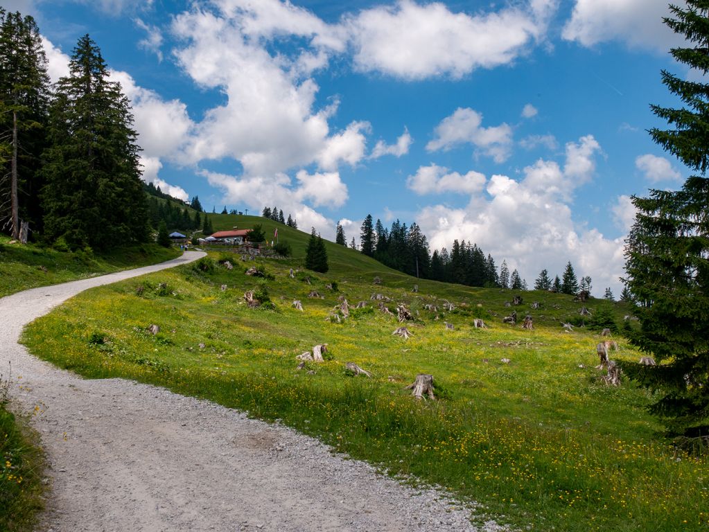 Fußweg Alm Krinnenalpe - Der Fußweg zur Alm ist einfach, aber nicht unbedingt barrierefrei. - © alpintreff.de / christian schön