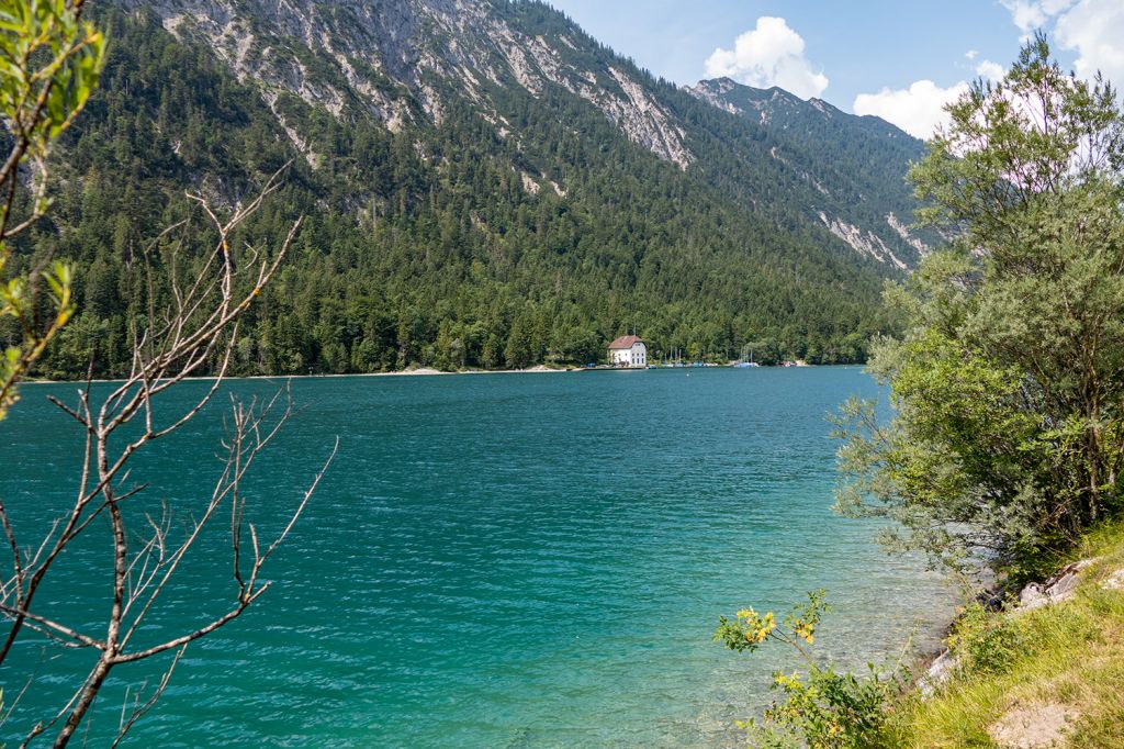 Plansee - Seespitze - Plansee im Bereich Seespitze. - © alpintreff.de / christian Schön