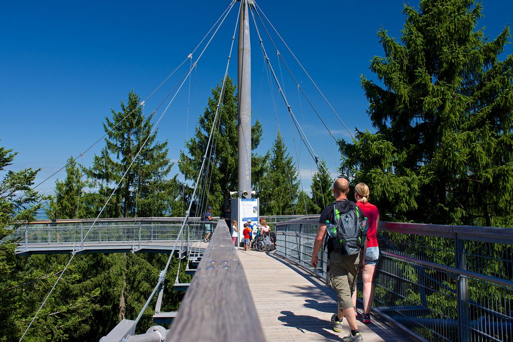 skywalk allgäu - Bis zu 40 Meter über dem Boden läufst Du über den Weg.  - © skywalk allgäu gemeinnützige GmbH 