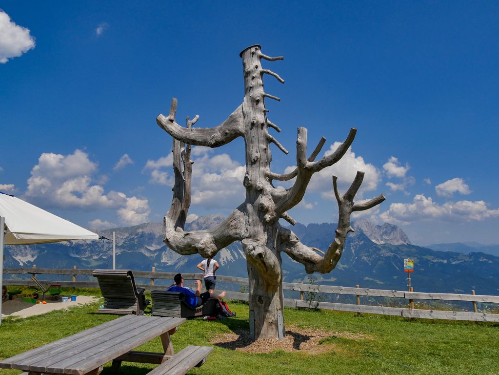 Trollbaum und dann der Abschied - Kurz noch ein schönes Foto von dem Trollbaum, auf den die Kinder auch mal klettern können, und dann gehts auch schon wieder ins Tal. - © alpintreff.de / christian schön Trollbaum und dann der Abschied - Kurz noch ein schönes Foto von dem Trollbaum, auf den die Kinder auch mal klettern können, und dann gehts auch schon wieder ins Tal. - © alpintreff.de / christian schön
