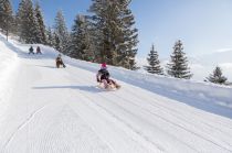 Die Hexen-Rodelbahn befindet sich in Fiss in Tirol. Du kannst bequem mit der Schönjochbahn bis zur Mittelstation fahren. • © Serfaus-Fiss-Ladis Marketing GmbH, Andreas Kirschner