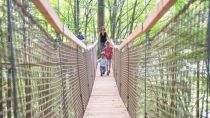 Im Familywald gibt es Hängebrücken, Baumhäuser, einen Waldspielplatz... und ganz viel Schatten. • © kletterwald.at