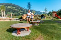 Toll für Kinder bis ungefähr 12 Jahren - Der Spielplatz bietet eine herrliche Aussicht, angenehmen Schatten und sehr viel zu entdecken. • © TVB Mayrhofen, Thomas Eberharter Photography