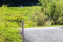 Der asphaltierte Pumptrack mit dem hübschen Namen Black Beauty ist 500 Meter lang (Fahrbreite: 1,5 Meter) und ist für Bikes, Boards, Skates und Scooter geeignet. Fast lautlos gleitest Du auf glatten Oberflache dahin.  • © alpintreff.de - Silke Schön