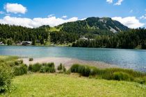 Schilfbewachsen - Teile des Ufers sind schilfbewachsen. Die durchschnittliche Tiefe des Sees liegt bei 13,6 Metern. • © alpintreff.de - Christian Schön