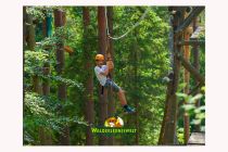 Über 20.000 m² ist die Anlage groß. Im Kletterwald kannst Du Deinen Mut testen.  • © Walderlebniswelt Klopeiner See