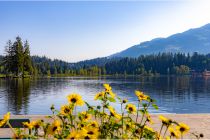 Spazierengehen am Schwarzsee - Den Schwarzsee kannst Du leicht zu Fuß umrunden, die Strecke ist ungefähr zweieinhalb Kilometer lang, führt aber nicht immer am Wasser entlang.  • © alpintreff.de - Silke Schön