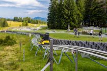 Los geht die Fahrt - Und Start!  1.160 Meter Rodelspaß warten auf Dich. • © alpintreff.de - Silke Schön