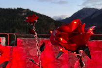 Burg Ehrenberg Lumagica - Wunderschöne Licht-Rosen. • © Renate Carre / allgaeu_origini auf Instagram