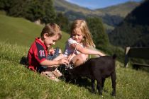 Fell-Kontakt - Es gibt auch zahme Tiere im Wildpark. Im Streichlstadl wagen sich die Kleinsten an Hasen, Meerschweinchen, Ponys und Esel, Ziegen und Schafe und gar Lamas heran.  • © TVB, Joe Hölzl