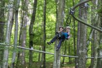 Die erste Waldachterbahn Österreichs nennt sich Fly-Line. • © kletterwald.at