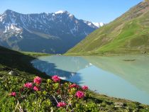 Der Rifflsee liegt auf 2.232 Metern Seehöhe. • © Pitztaler Gletscher, Thomas Götsch