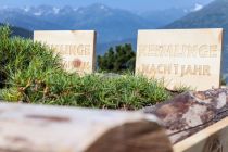 Zirbenpark - Pitztal - Die Zirbe, ein Kieferngewächs, steht im Mittelpunkt der Wissenstour.  • © Hochzeiger Bergbahnen, Chris Walch