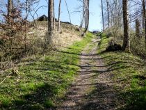 Der Aufgang zur Burgruine. • © Burgfreunde Wolkenberg e.V.