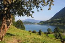 Er bietet alle (Sport-) Möglichkeiten, die das Urlauberherz begehrt: schwimmen, segeln, surfen, kiten (sehr gute Windverhältnisse vor Ort) paddeln, Du kannst Tretboote und auch Ruderboote leihen, Minigolf spielen oder einfach nur dort liegen und die Sonne genießen. • © Alpsee Immenstadt Tourismus