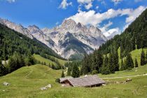 Alpines Gelände und heimische Wiesen mit artenreicher Flora und Fauna. • © Nationalpark Berchtesgaden
