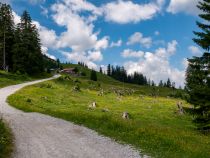 Fußweg Alm Krinnenalpe - Der Fußweg zur Alm ist einfach, aber nicht unbedingt barrierefrei. • © alpintreff.de / christian schön