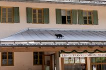 Schloss Linderhof - Die Katze auf einem Vordach vom Schlosshotel Linderhof zeigt sich von dem ganzen Troubel ohnehin recht unbeeindruckt. • © alpintreff.de / christian Schön
