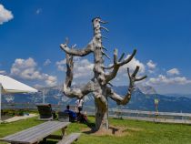 Trollbaum und dann der Abschied - Kurz noch ein schönes Foto von dem Trollbaum, auf den die Kinder auch mal klettern können, und dann gehts auch schon wieder ins Tal. • © alpintreff.de / christian schön