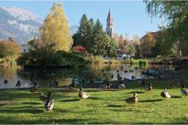 Der idyllisch darliegende Rapoldipark in Innsbruck. • © Innsbruck Tourismus / Bernhard Aichner