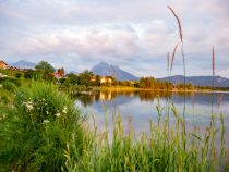 Blick auf den Hopfensee • © alpintreff.de - Christian Schön