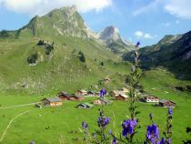 Blick auf die Alpe Laguz oberhalb von Raggul. • © Verein Großes Walsertal Tourismus, S. Zech