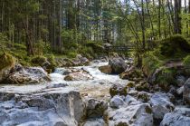 Wer mit offenen Augen durch den Zauberwald gehen, wird reich beschenkt wieder heim kehren.  • © Berchtesgadener Land Tourismus, Sepp Wurm