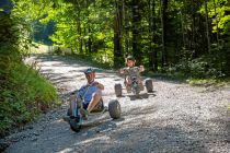 Mit den Mountaincarts den Berg hinunter. • © Franz Ofner, alpline.at