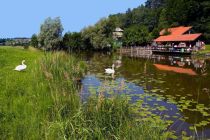 Der idyllische Widdumer Weiher an der Fischerhütte.  • © Gästeinformation Waltenhofen