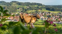 Weiler-Simmerberg im Allgäu - mit Model. • © Tourist-Information Weiler im Allgäu/Deutschland abgelichtet