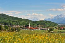 Blick auf Anthering im Frühling mit Blick auf Untersberg • © TVB Anthering