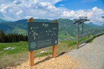 Flora, die Bergblume, sucht ihren Freund Georg Gems! An der Hornbahn in Bad Hindelang startet der neue Themenweg für Kinder. • © Bad Hindelang Tourismus, Madeleine Rädler